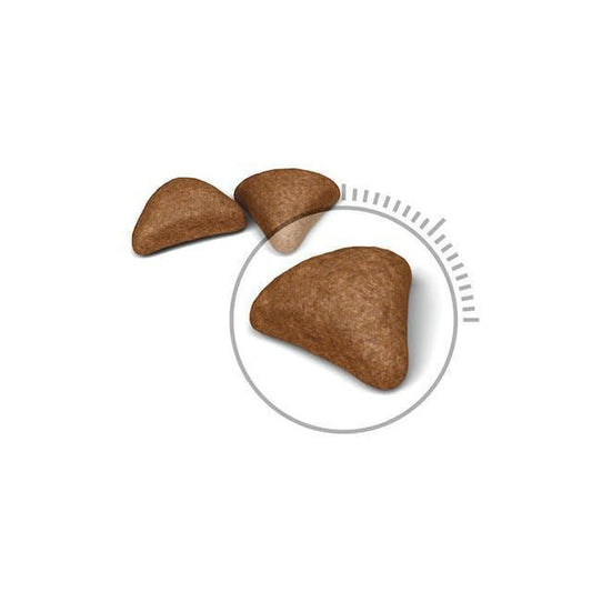 Royal Canin Hairball Care Dry Cat Food | 4Kg