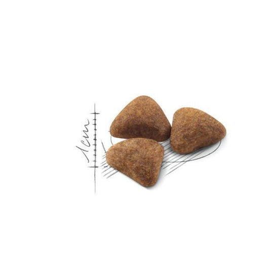 Royal Canin Indoor Adult Cat Dry Food