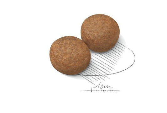 Royal Canin Maxi Adult Dry Dog Food | 15kg