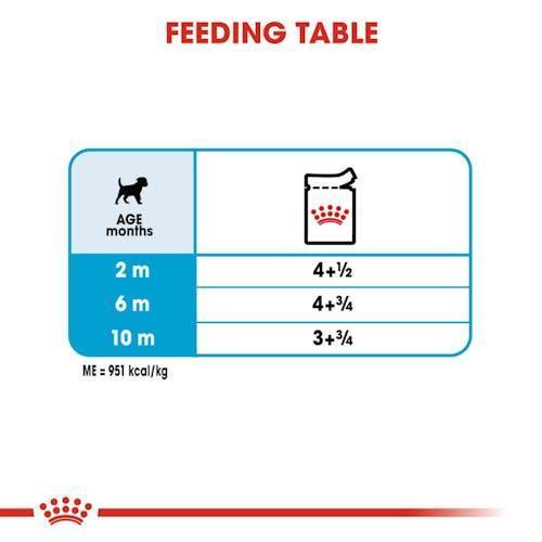 Royal Canin Mini Puppy Pouch | 12x85g