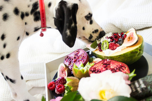 The Ultimate Guide to Dog-Friendly Foods: What You Need to Know